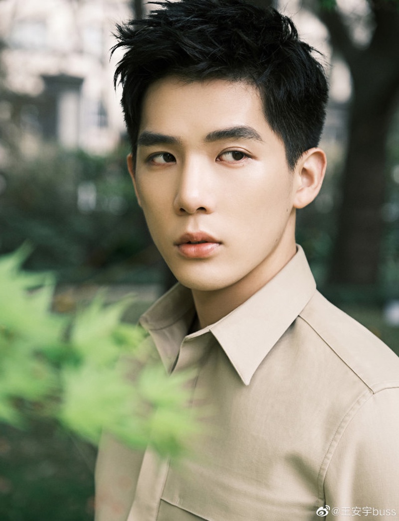 王安宇