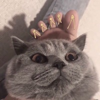 前线吃瓜君